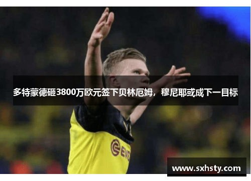 多特蒙德砸3800万欧元签下贝林厄姆,穆尼耶或成下一目标